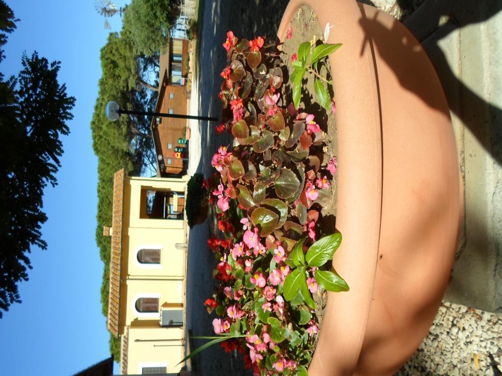 Agriturismo Toscanella Montebello Ngoại thất bức ảnh